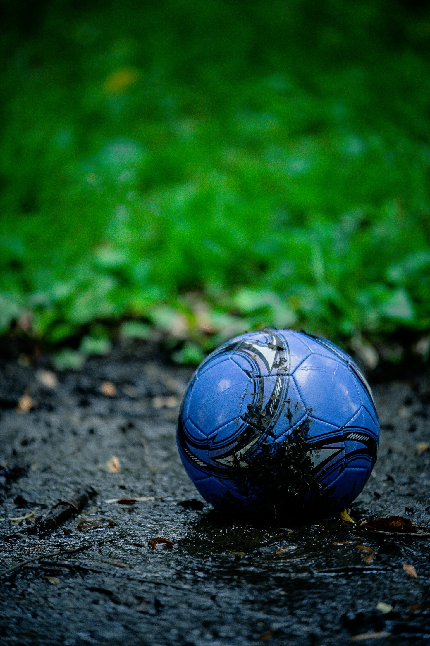 Connecting Ambitious Players to Global Opportunities